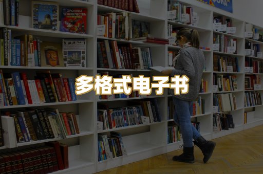 多格式电子书